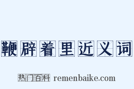 鞭辟着里近义词是什么意思的图片